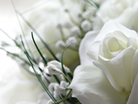 Wrongful Death Image