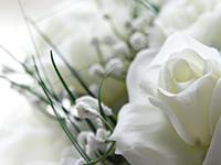 Wrongful Death Image