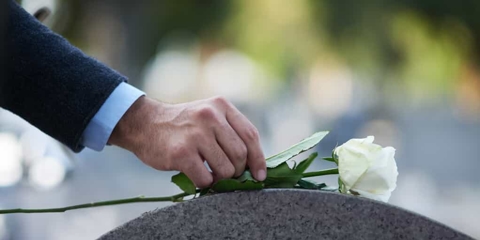 A man's hand wearing a suit places a long-stem white rose on a gravestone