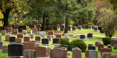 A cemetery in the morning