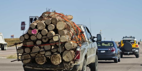 Beat up truck carrying a load of logs that's far too large for the truck's size