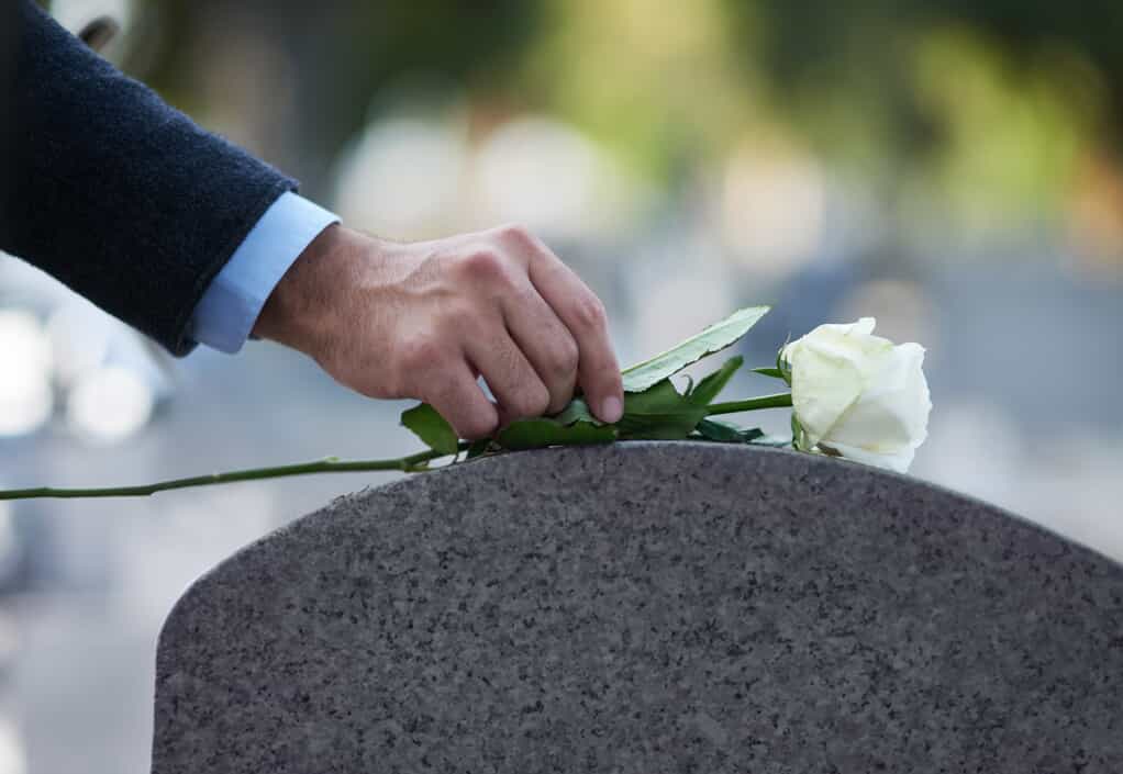 A man's hand wearing a suit places a long-stem white rose on a gravestone