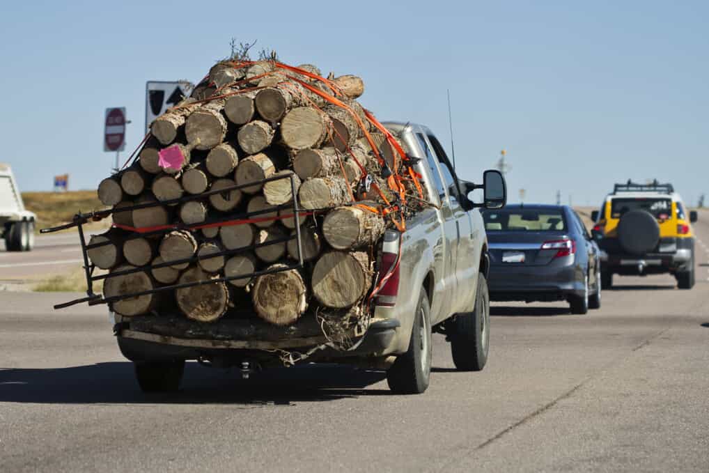Beat up truck carrying a load of logs that's far too large for the truck's size